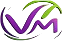 Vibrant Logo